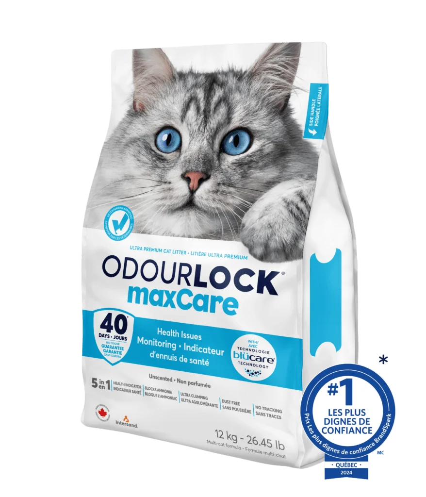 OdourLock Max Care Lettiera per Gatti Alte Prestazioni - 12kg OdourLock Max Care Lettiera per Gatti Alte Prestazioni - 12kg